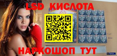 гидропоника Тверь