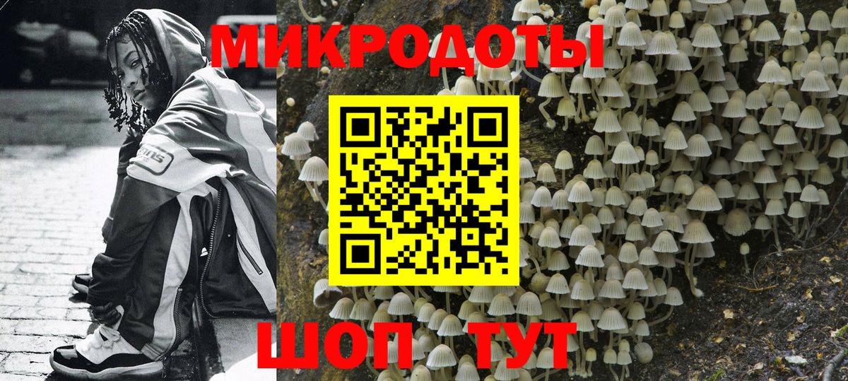 Галлюциногенные грибы прущие грибы Петрозаводск