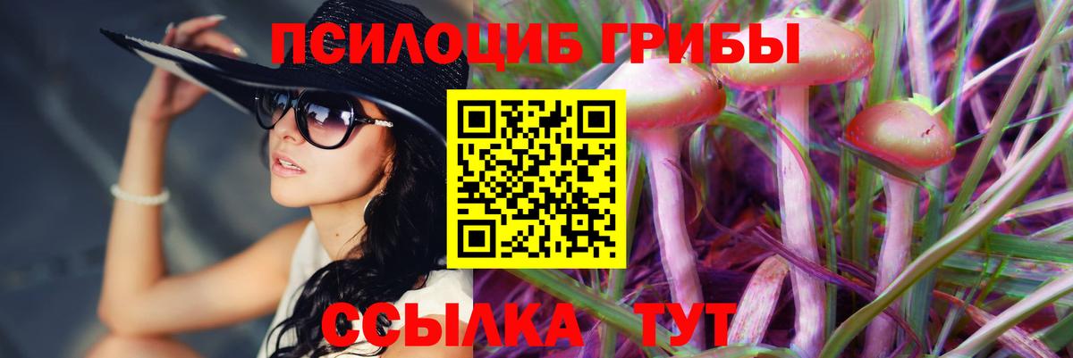 Галлюциногенные грибы Magic Shrooms  Вход с VPN  Петрозаводск 